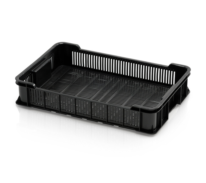 Obst- und Gemüsekiste niedrig, Reg.